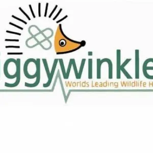 Tiggywinkles logo 02