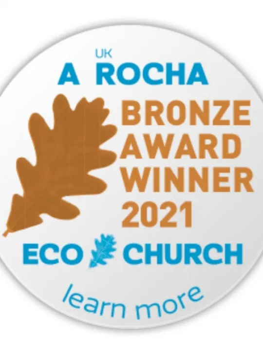 Wesley Eco Bronze