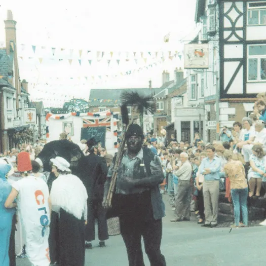 roy downes chimney Sweep