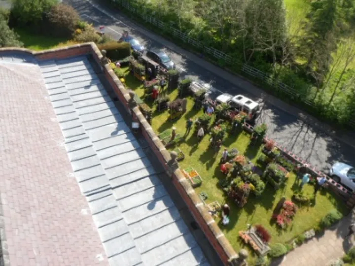 2014 Plant Sale