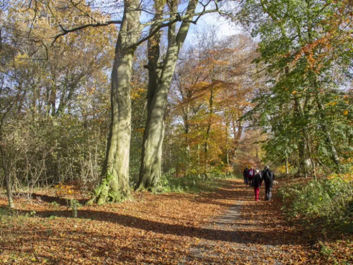Welbeing Walks 1
