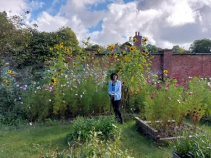 Lloyds Flower farm