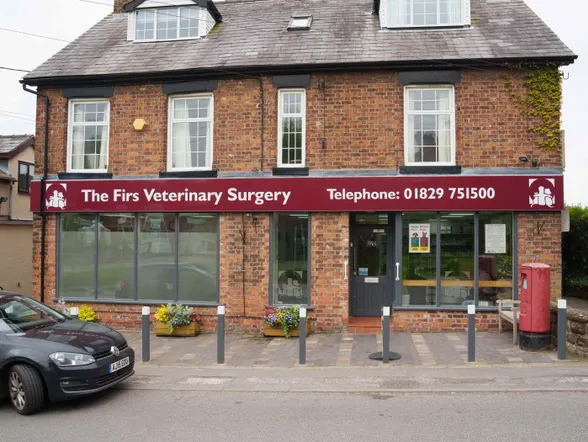 The Firs vets outside