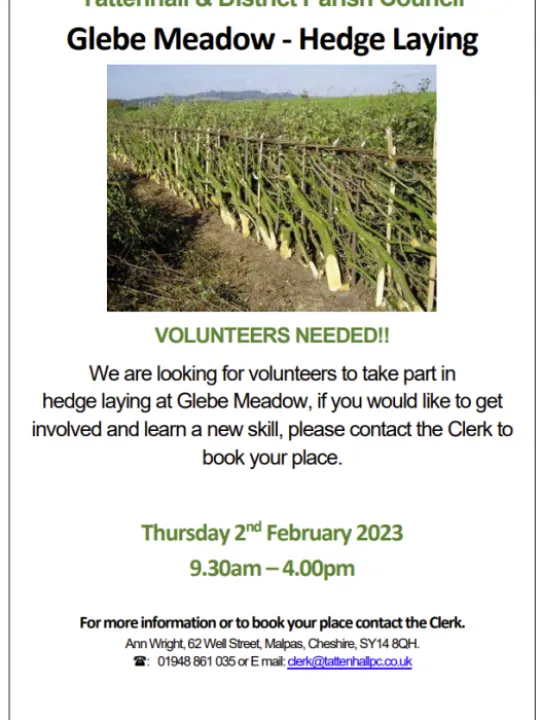 Hedge Laying