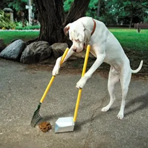 Dog Poo 03