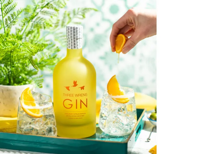 gin 1