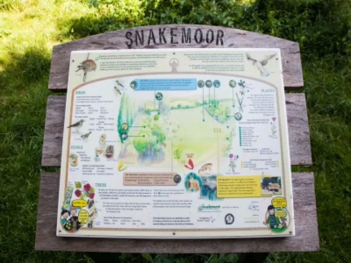 Snakemoor 01