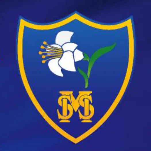 HStM School logo