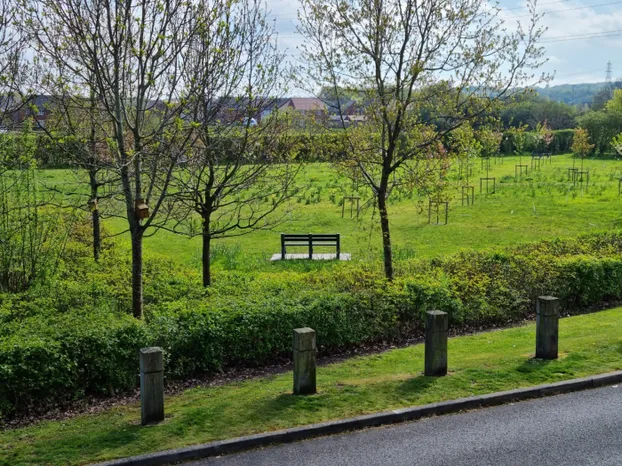 Jubilee Forest 3