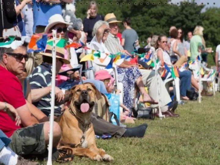 Dinton Fete 03