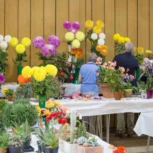 Annual Show 01