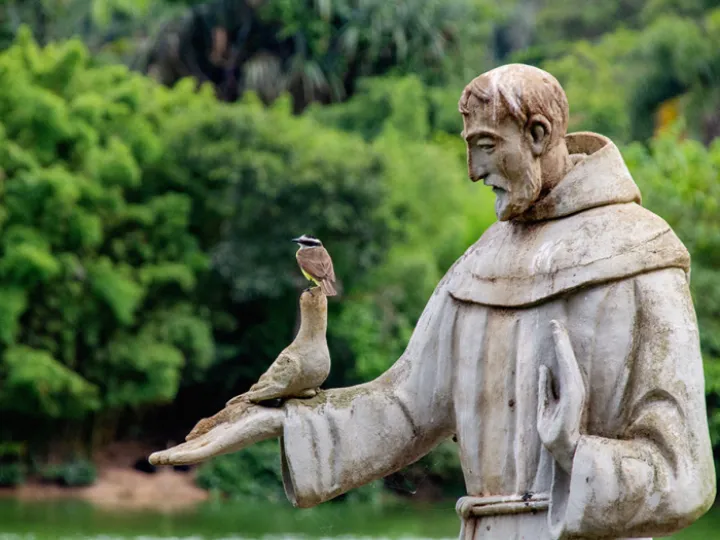 St Francis of Assisi