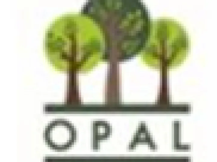 Opal