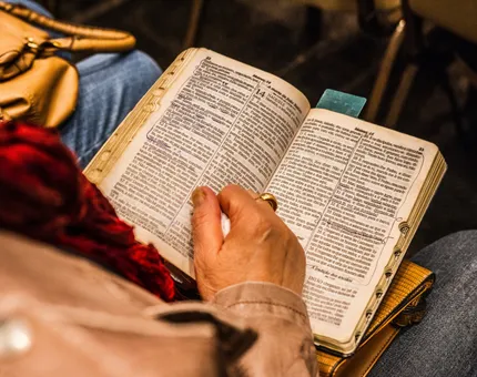 Person Holding Opened Book