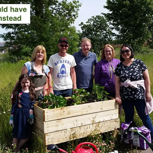 community planter
