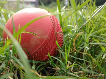 Cricket, ball, grass
