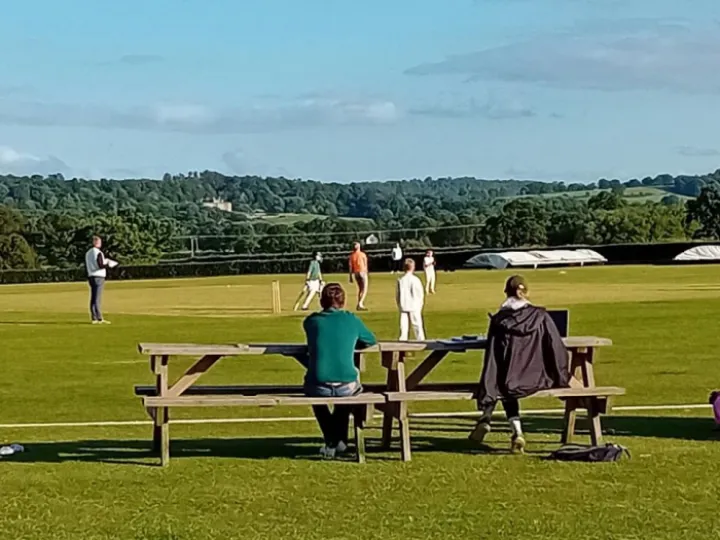 Cricket 02