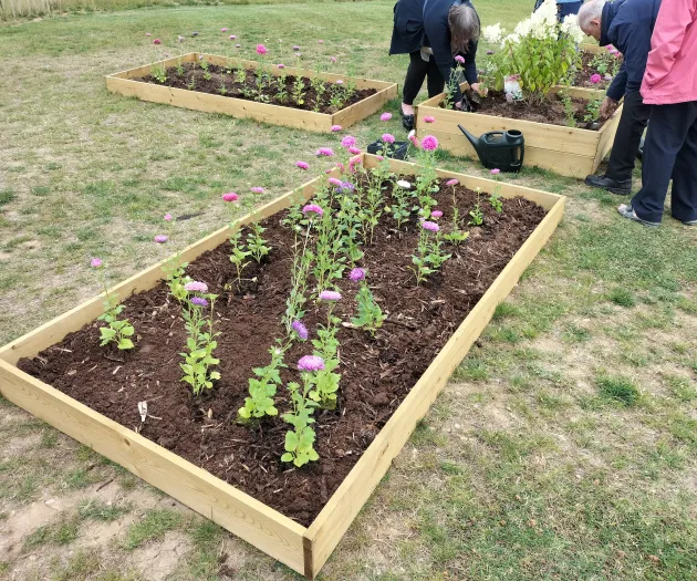 Planted flower beds