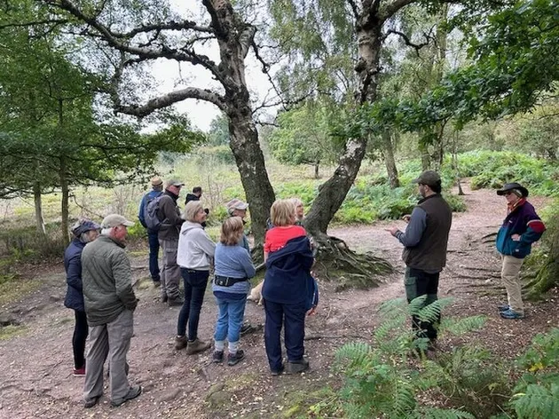 Bickerton 1