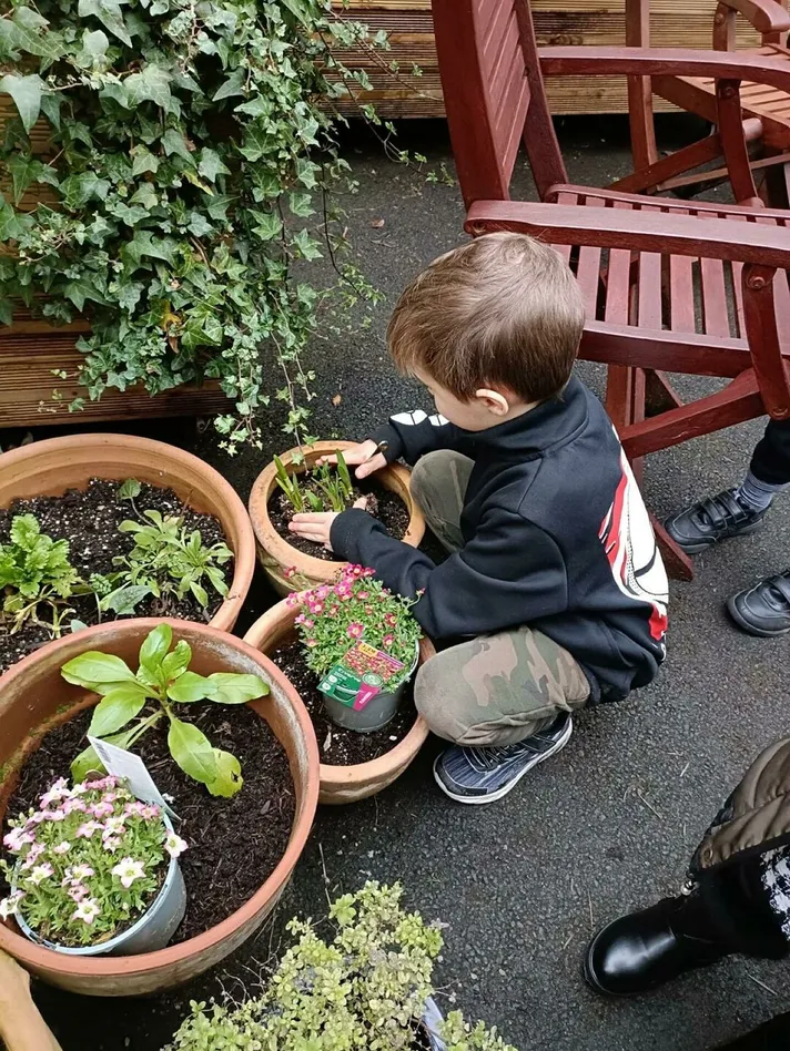 Jc garden