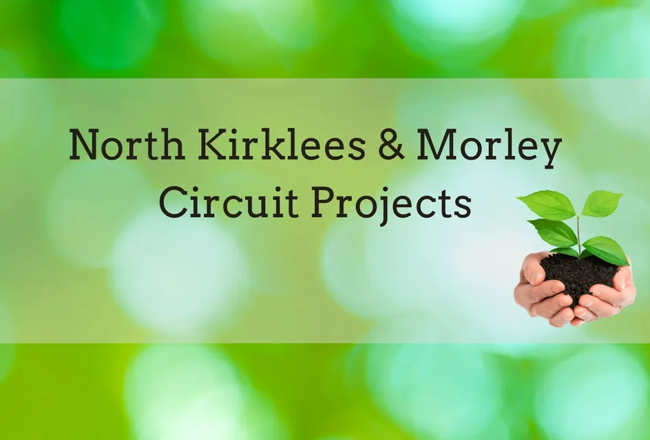 Circuit Projects