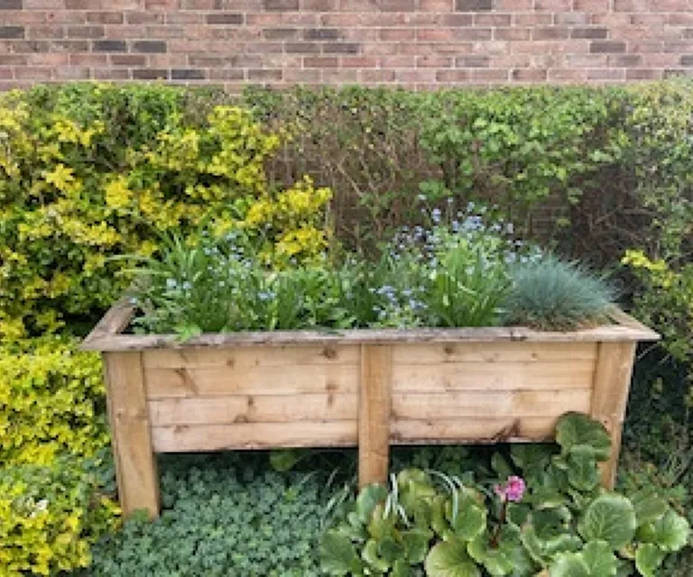 Merrow Community Garden April 25