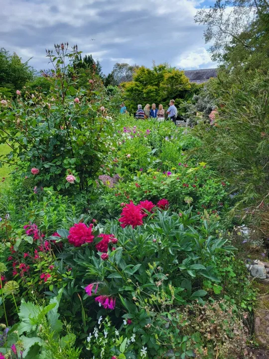 Open garden