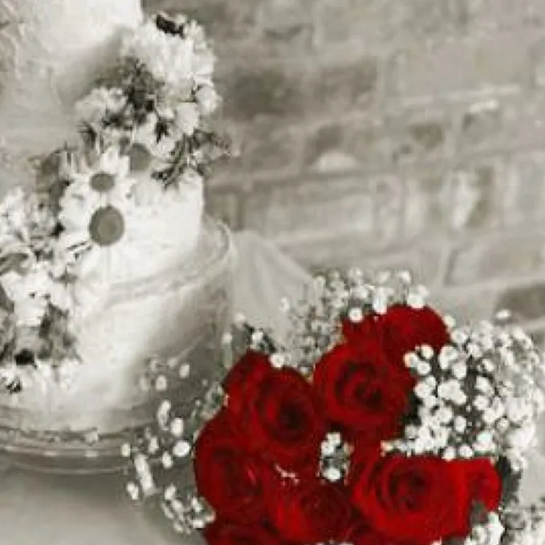 Wedding Celebration