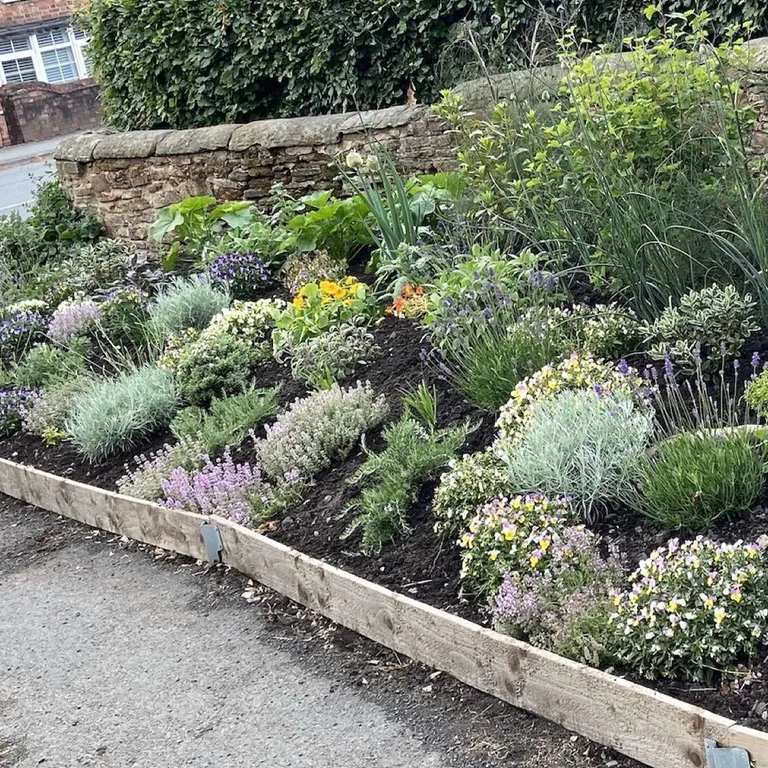 Herb bed June 25