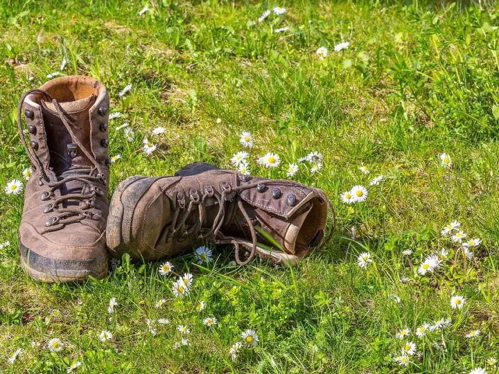 Hike, shoes, nature, walking boots, outdoor, alpine boots, walking boots, walking boots, walking boots, walking boots, walking boots