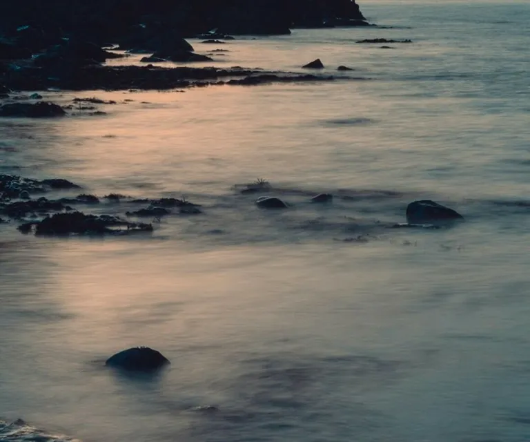 Coastal