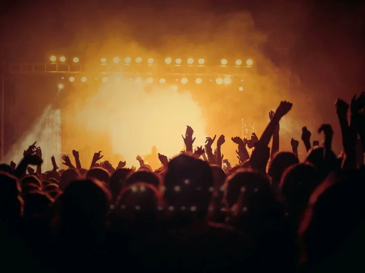 Energetic music concert with a vibrant crowd cheering under bright stage lights.