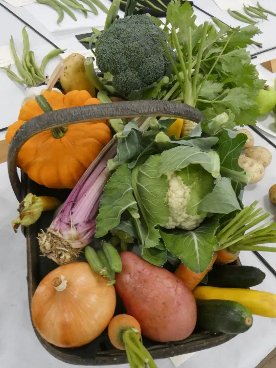 HHS Show Veg 2025_01