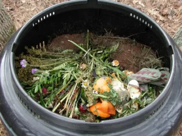 composting 01