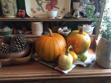 Winter Produce