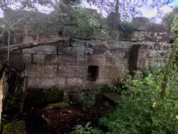 Peckforton Mill Two (3)