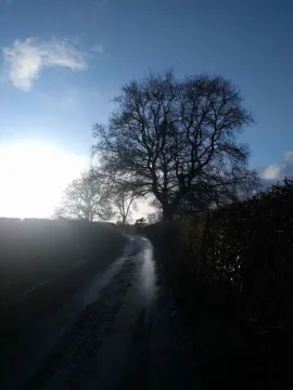 Monks lane