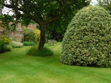 seat in chriss garden