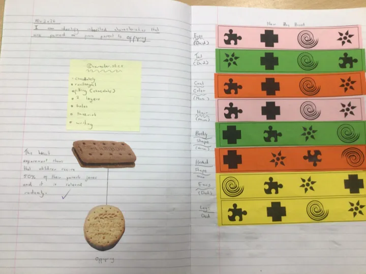 414c8912-Ab0e-4865-Bc1a-87da821044b6