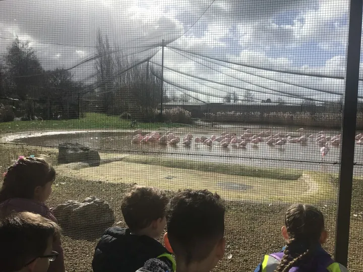 3262629a-Cdea-4808-Ac39-Bc76bfe2af9b