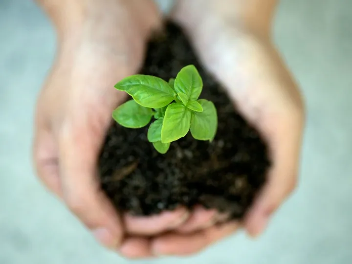 Jennifer-Delmarre-Iqmuhjf5khu-Unsplash