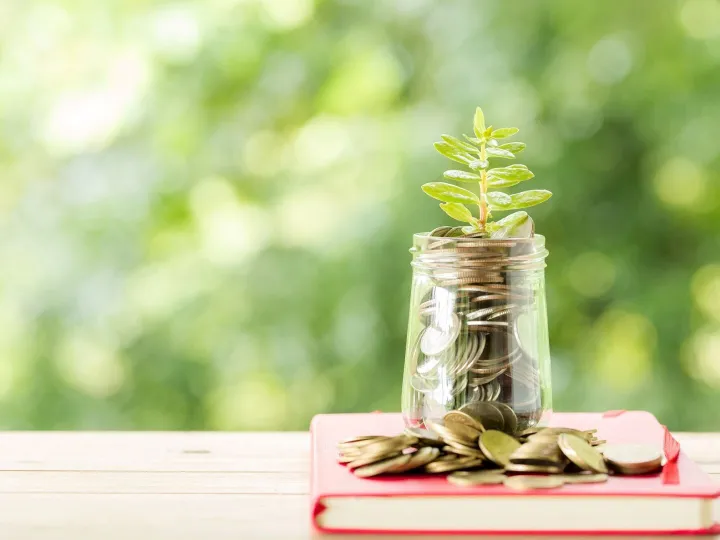 Plant Growing In Savings Coins