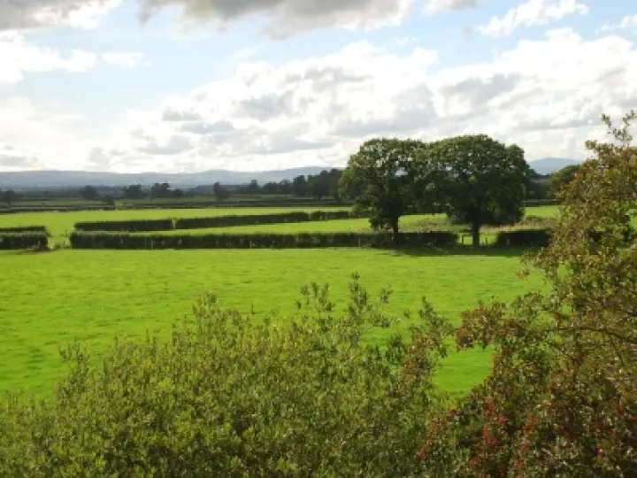 Southerly view from western approach to Tattenhall