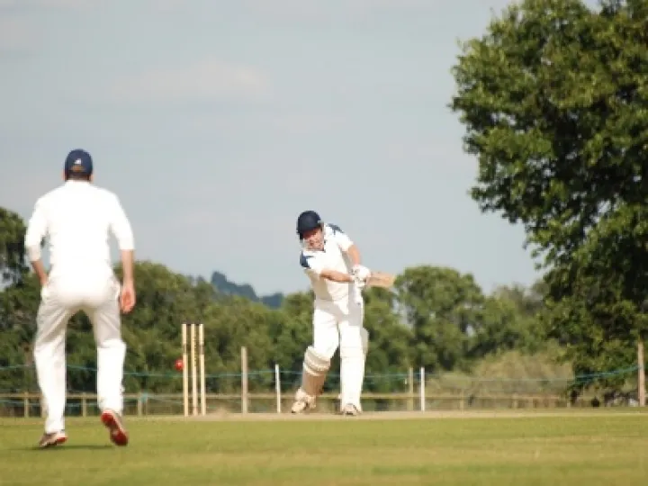 Batting for all it's worth