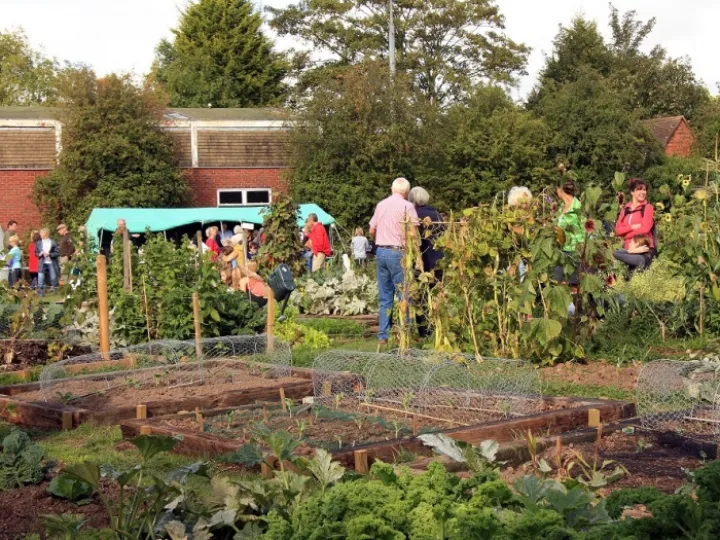 Allotments – 1