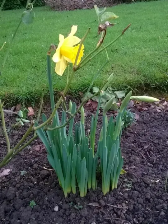 Spring has Sprung on 20 December
