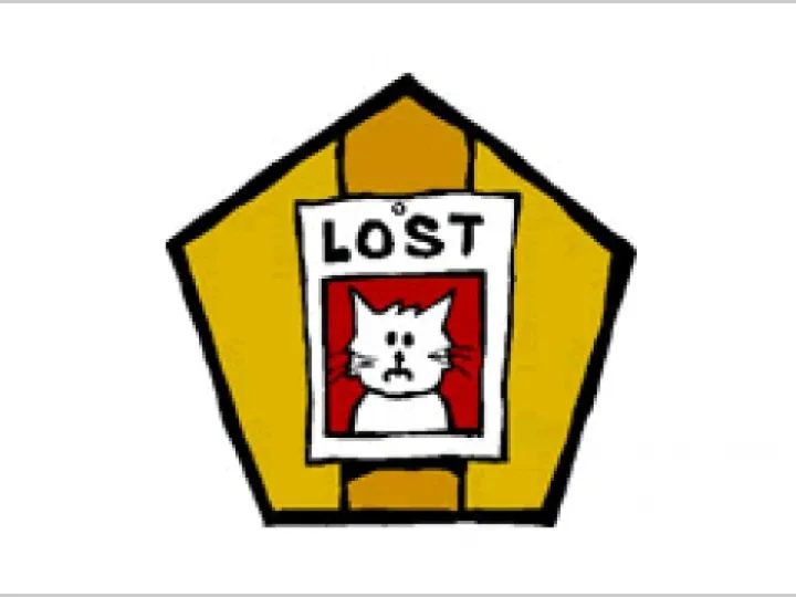 lost-cat
