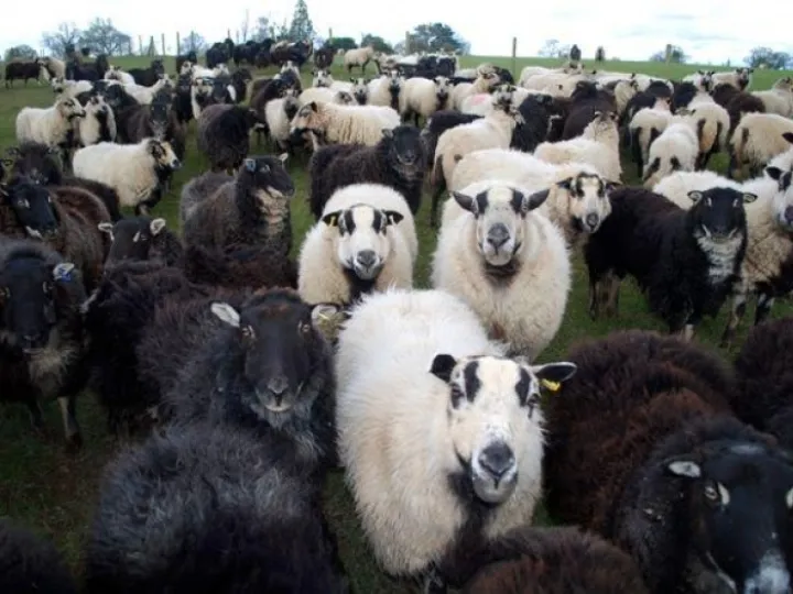 4d59faea-06dc-4352-a46d-f0a948d2467c