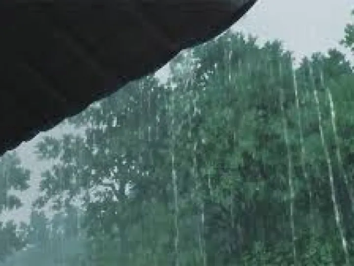 rain image jpg