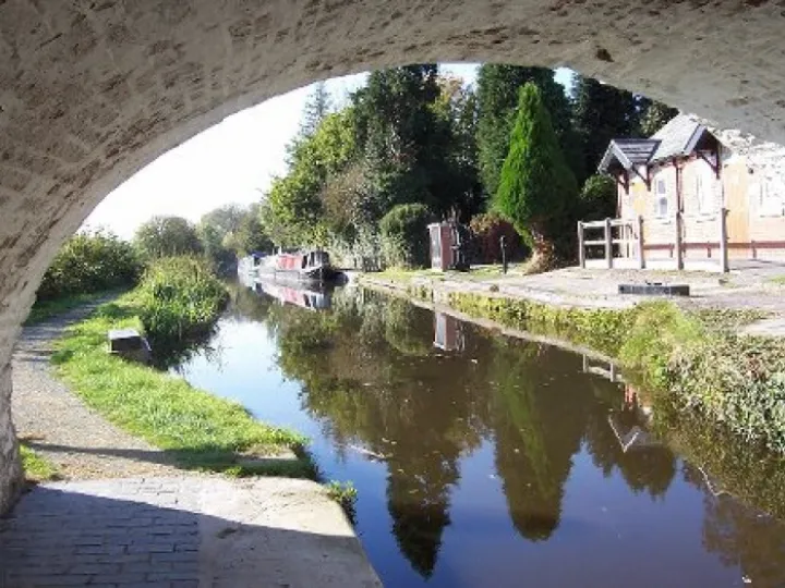 100_5445r5 &ndash; Copy